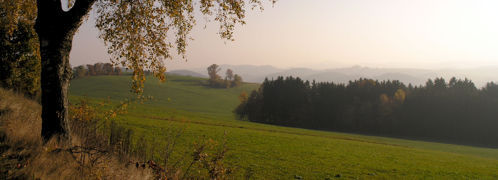 Bayerischer Wald