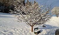 Winterferien im Bayerischen Wald