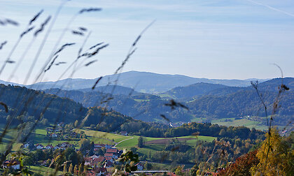 herrliche Naturlandschaft im Bayerischen Wald