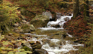 Wandern im Bayerischen Wald